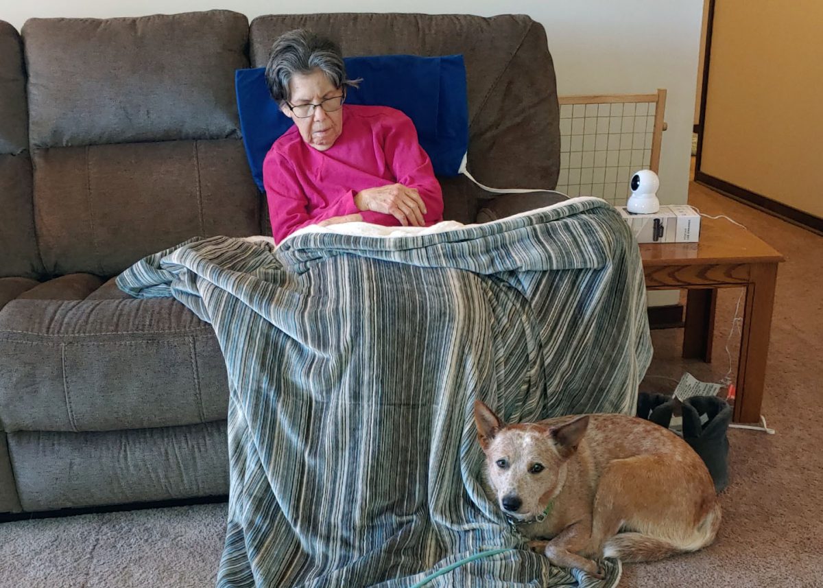 Red cattle dog snuggled up to the feet of sleeping elderly woman